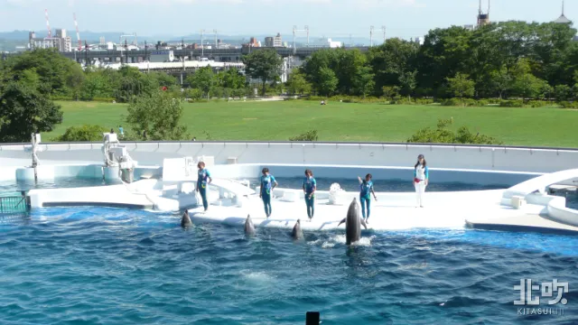 京都水族館