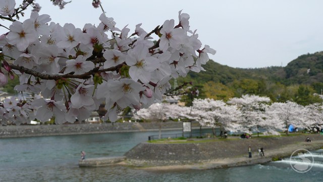 タイトルなし