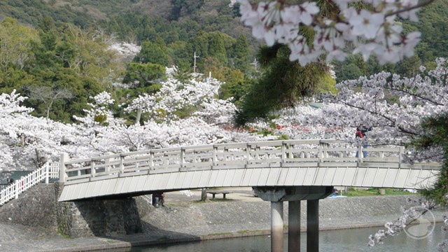 タイトルなし