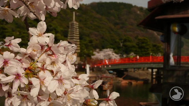 タイトルなし