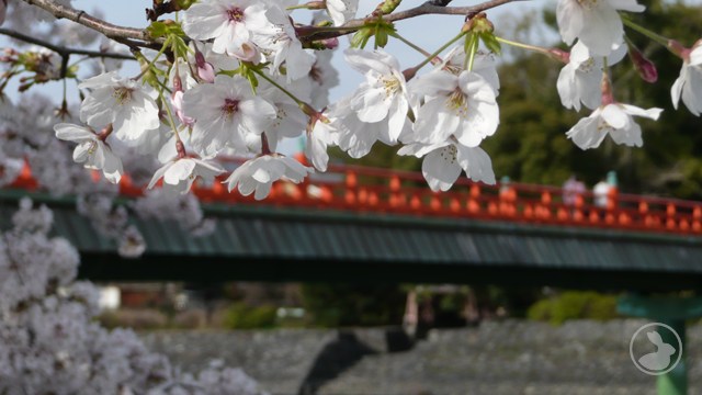 タイトルなし