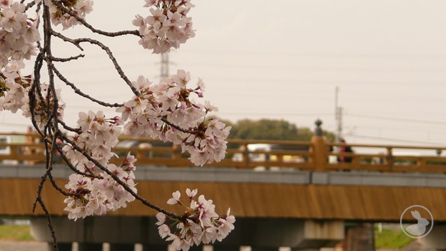 タイトルなし