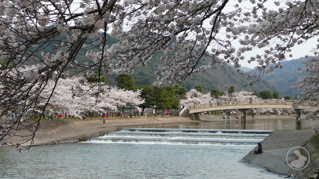 タイトルなし