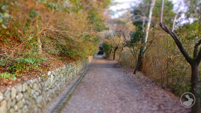 タイトルなし