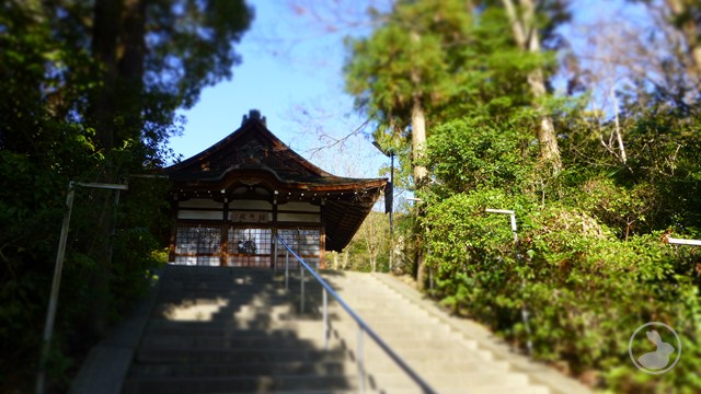 宇治神社