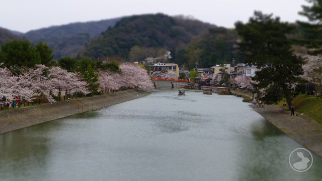 タイトルなし