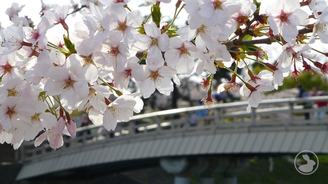 タイトルなし