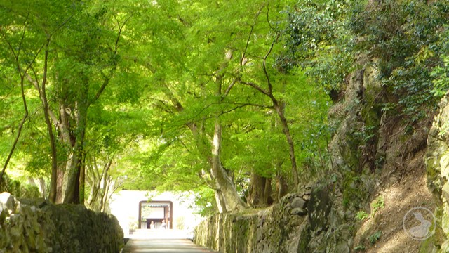 タイトルなし