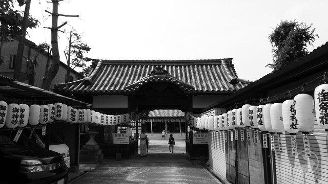 縣祭