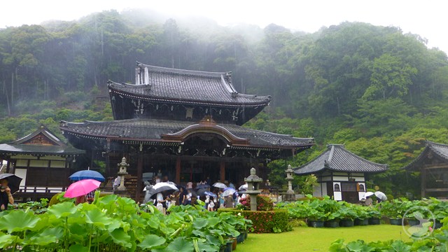 三室戸寺