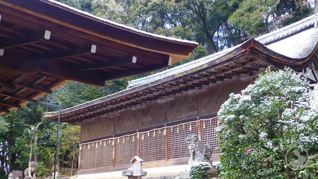 宇治上神社