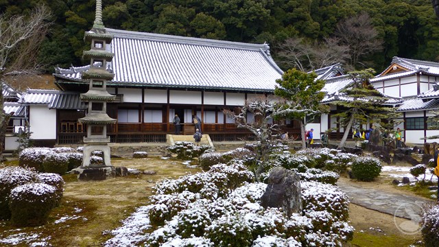興聖寺