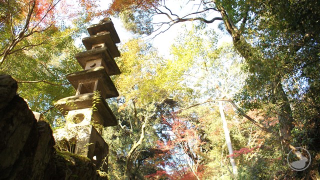 タイトルなし