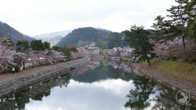 タイトルなし
