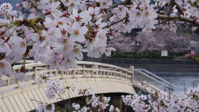 タイトルなし