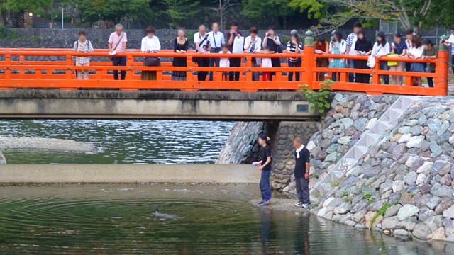 タイトルなし