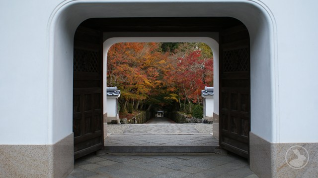 興聖寺