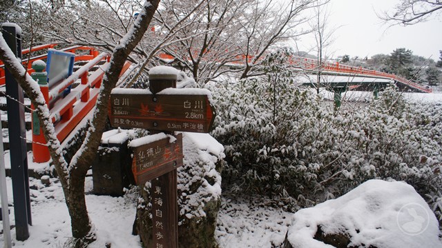 タイトルなし