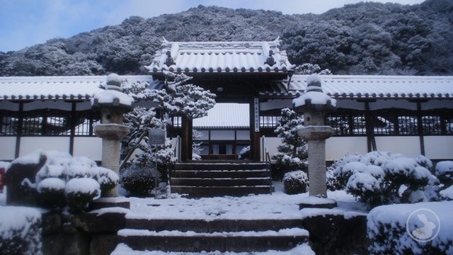 興聖寺