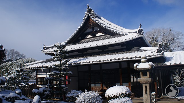 興聖寺