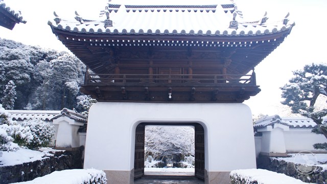 興聖寺