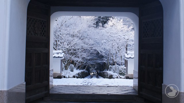 興聖寺