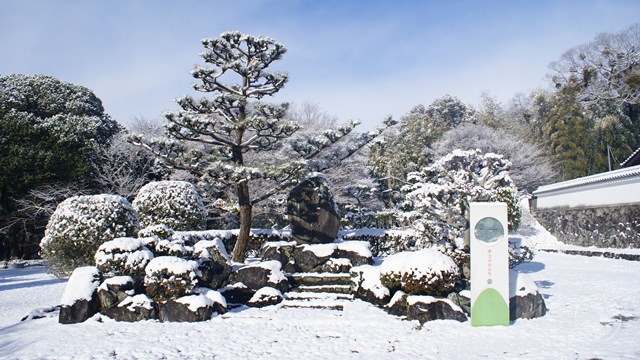 興聖寺