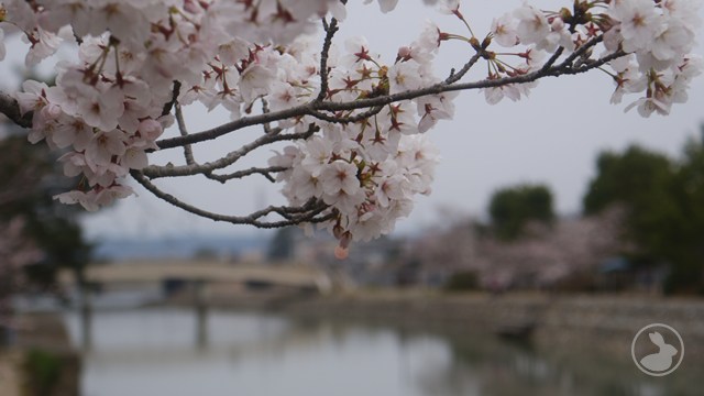 タイトルなし