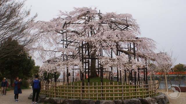 タイトルなし