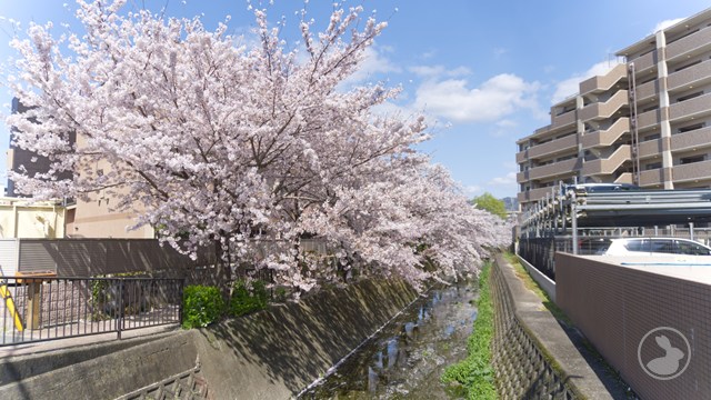 タイトルなし