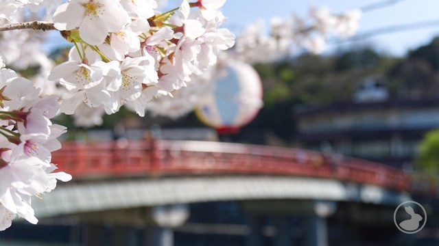 タイトルなし