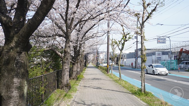 タイトルなし