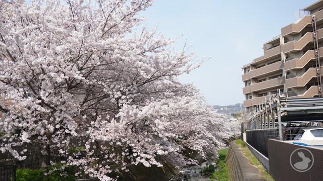 タイトルなし