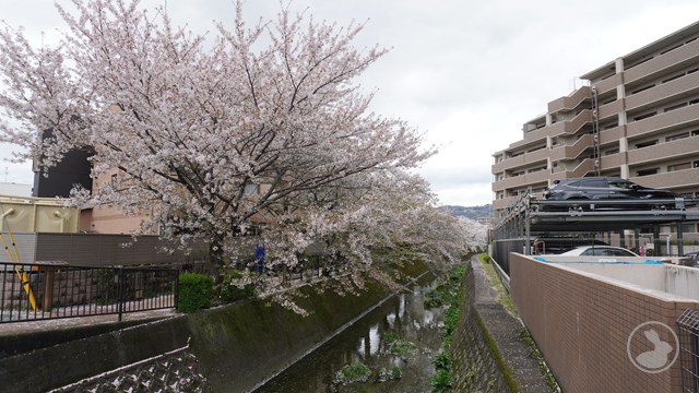 タイトルなし