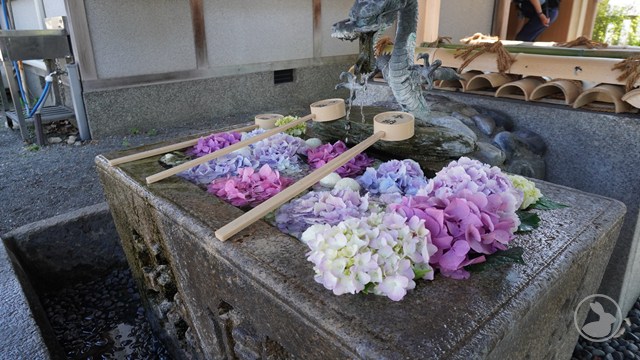 縣神社