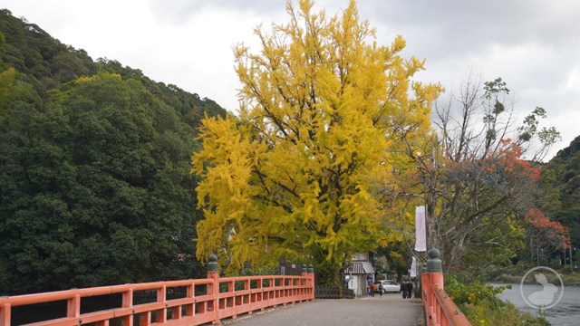 タイトルなし