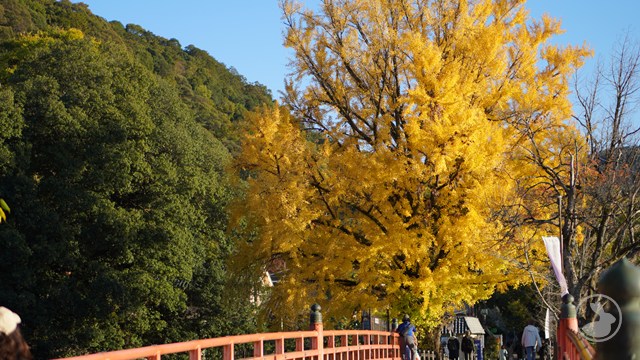 タイトルなし
