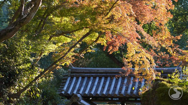 興聖寺