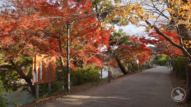 タイトルなし
