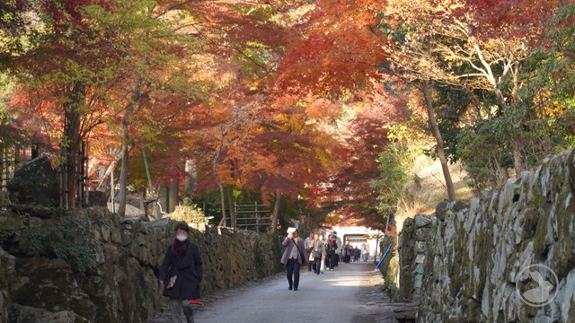 興聖寺