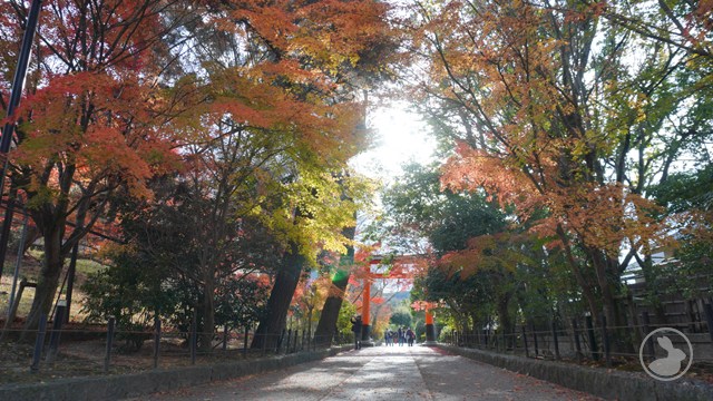 タイトルなし