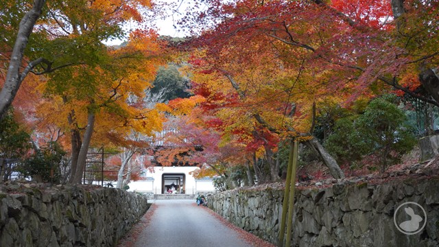 興聖寺