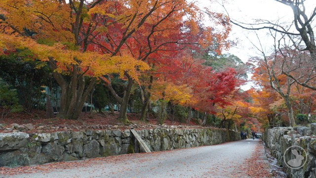 興聖寺