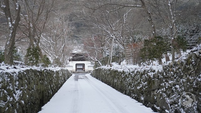 興聖寺