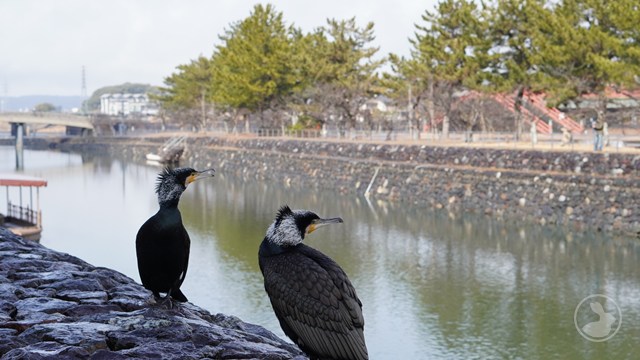 タイトルなし
