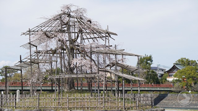 タイトルなし
