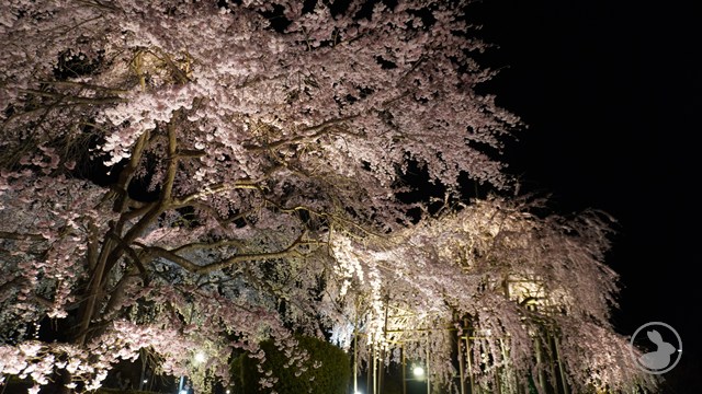 宇治市植物公園