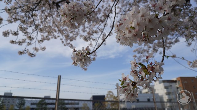 タイトルなし