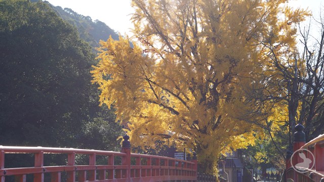 タイトルなし