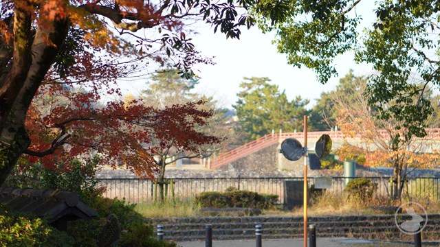 タイトルなし